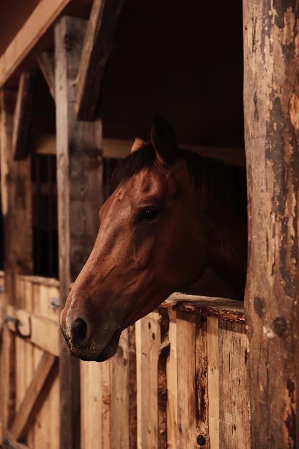J A Ranch Bed & Breakfast Stromsnasbruk Екстериор снимка